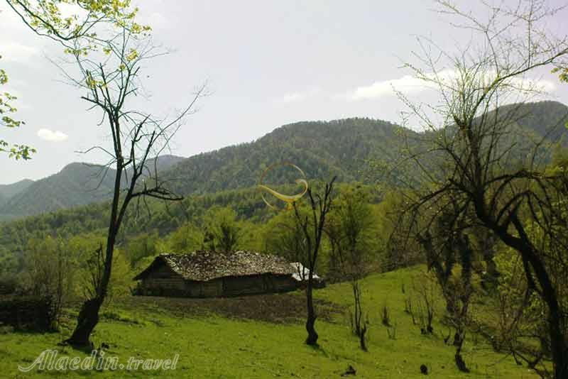 تور جنگل کنوس چال یک روزه