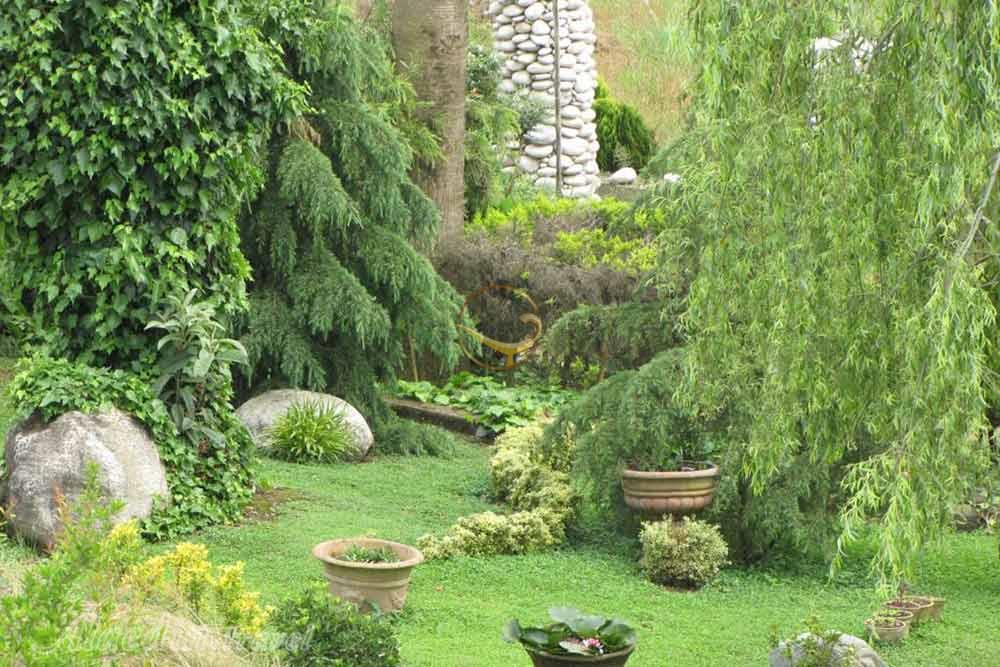 تور لاهیجان | علاءالدین تراول