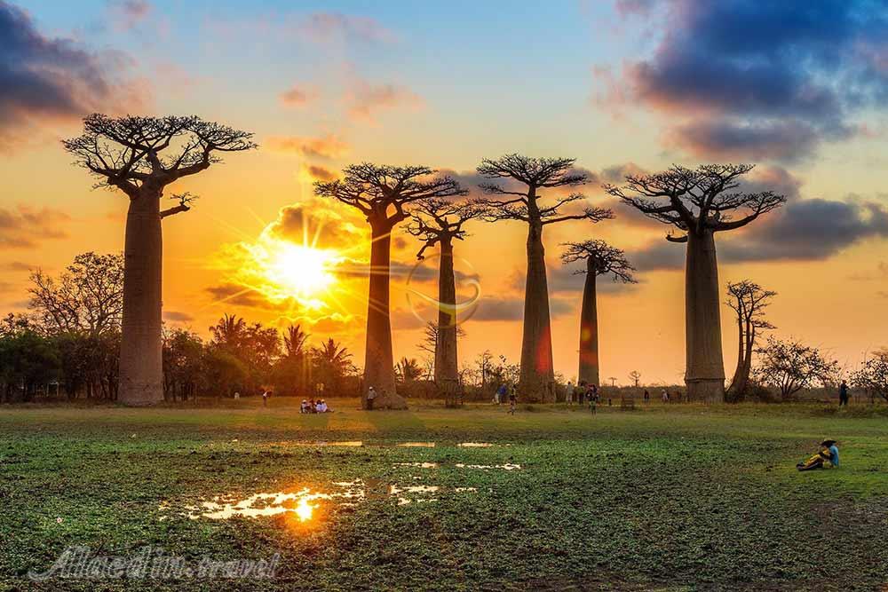 تور ماداگاسکار | علاءالدین تراول