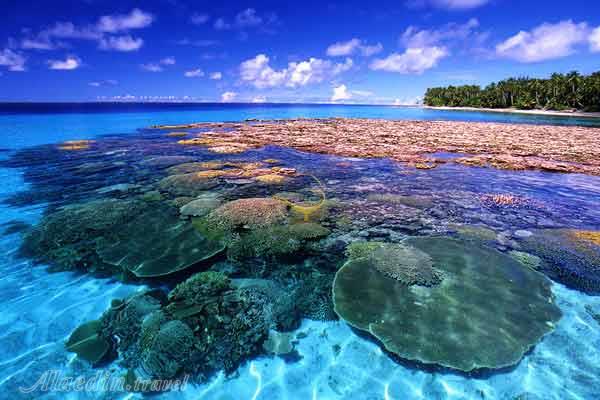 تور جزایر مارشال