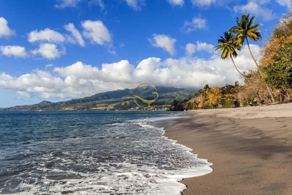 تور مارتینیک کارائیب | علاءالدین تراول