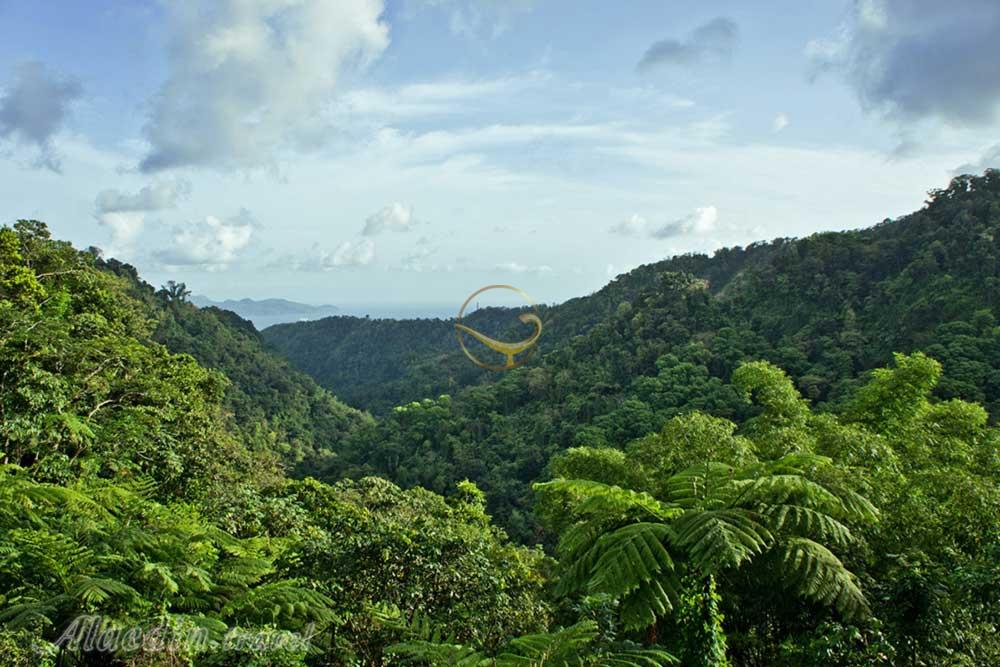 تور مارتینیک کارائیب | علاءالدین تراول