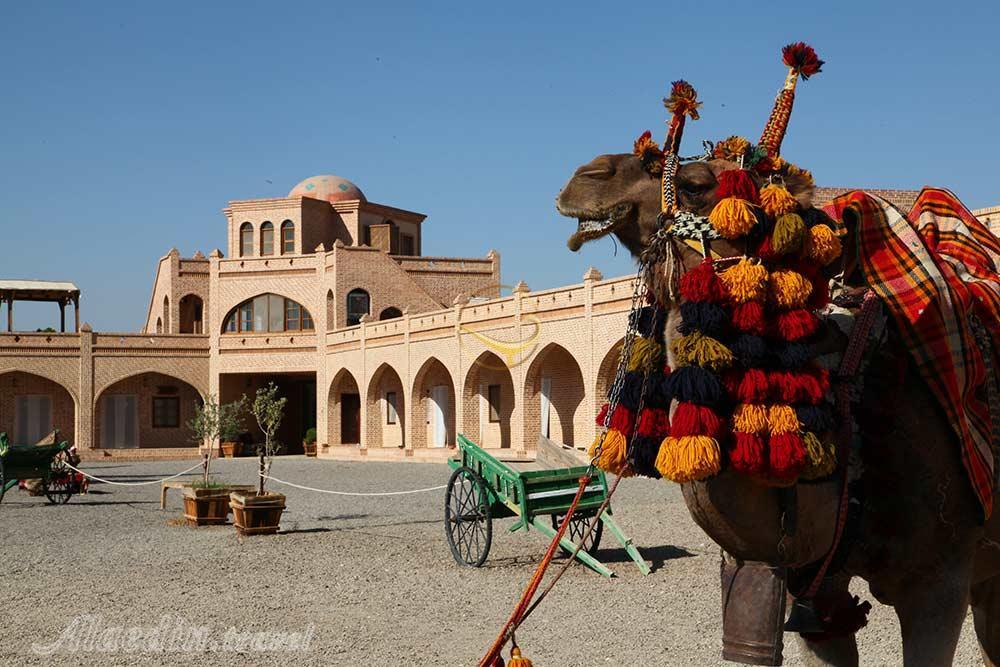کمپ کویری متبن آباد