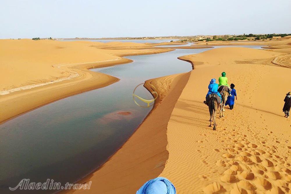 تور موریتانی | علاءالدین تراول