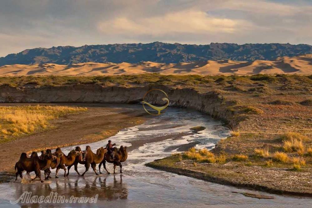 طبیعت مغولستان | علاءالدین تراول