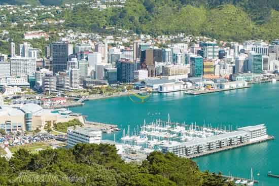 تور نیوزیلند