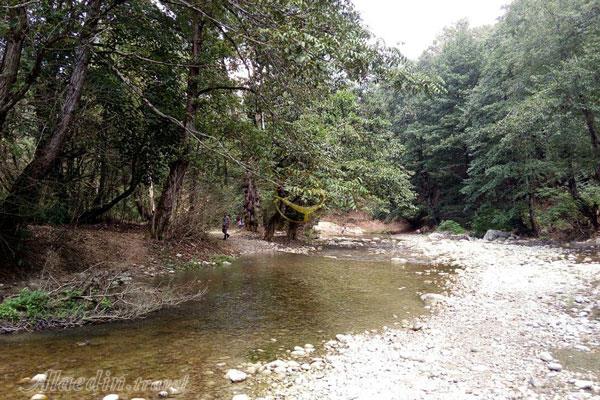 تور پلنگ دره؛ گذر از خیس خیال | علاءالدین تراول