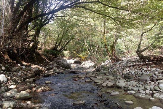 تور پلنگ دره؛ گذر از خیس خیال | علاءالدین تراول