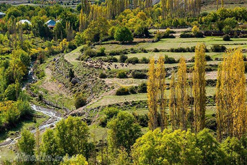 تور سمنان شهمیرزاد | علاءالدین تراول
