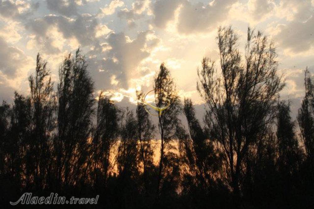 تور شهر سوخته سیستان | علاءالدین تراول