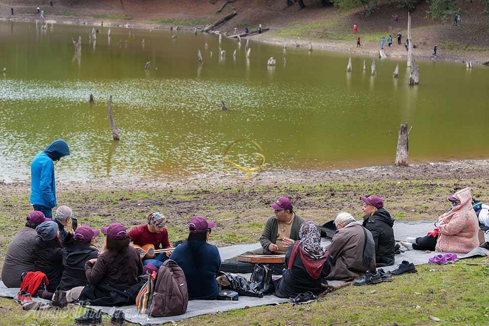 همسفران باداب سورت | علاءالدین تراول