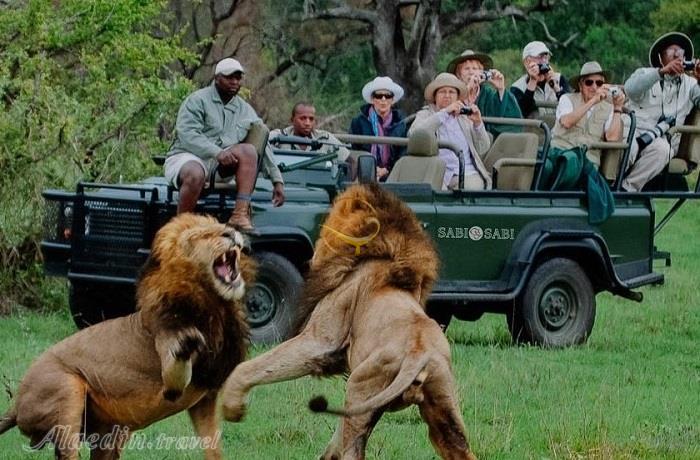 تور آفریقای جنوبی