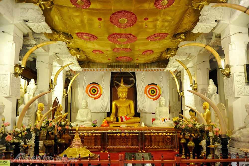 تور سری‌لانکا | علاءالدین تراول