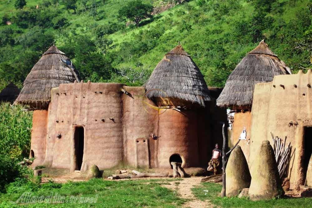 تور توگو | علاءالدین تراول