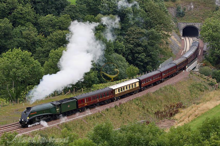 تور یک روزه قطار گردشگری | علاءالدین تراول