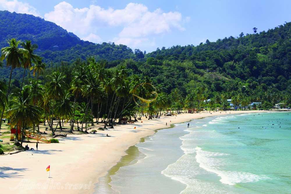 تور ترینیداد و توباگو | علاءالدین تراول