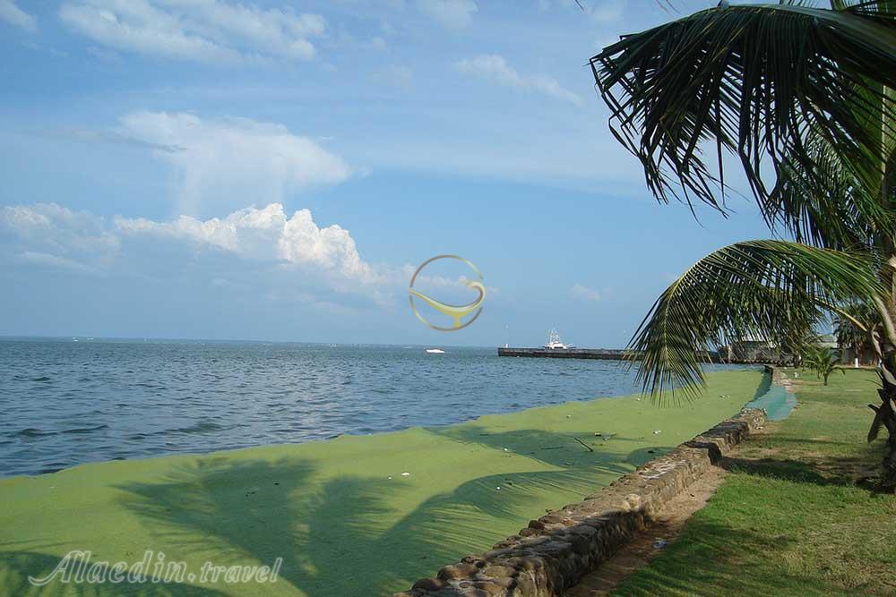 تور ونزوئلا | علاءالدین تراول