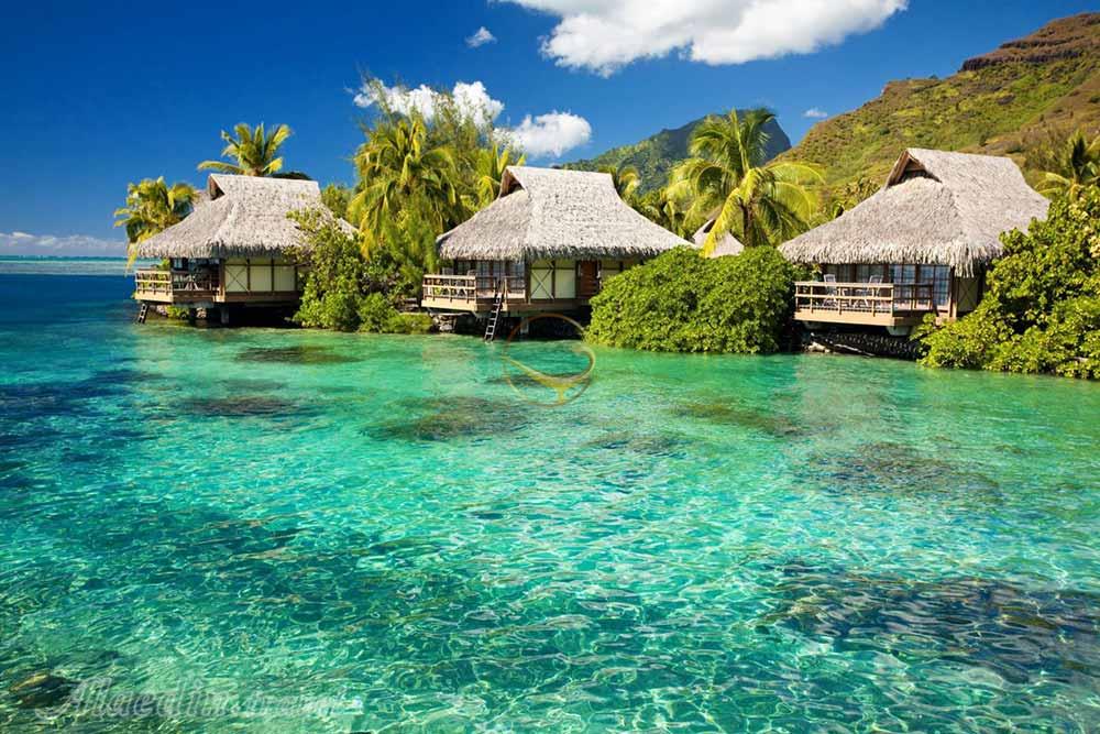 تور ویتنام | علاءالدین تراول