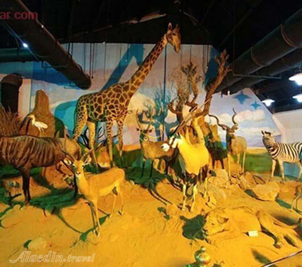 تور موزه های حیات وحش تهرانگردی | علاءالدین تراول