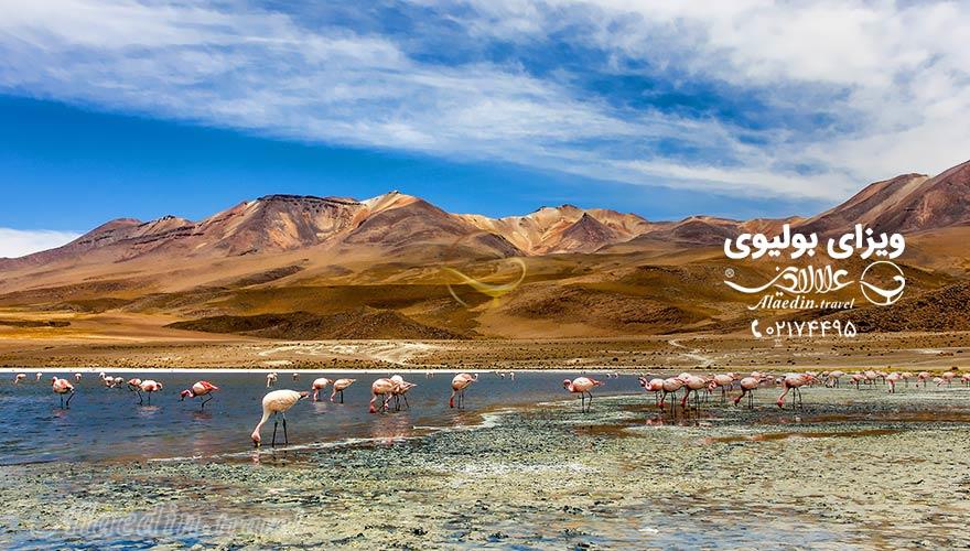 ویزای بولیوی | علاءالدین تراول