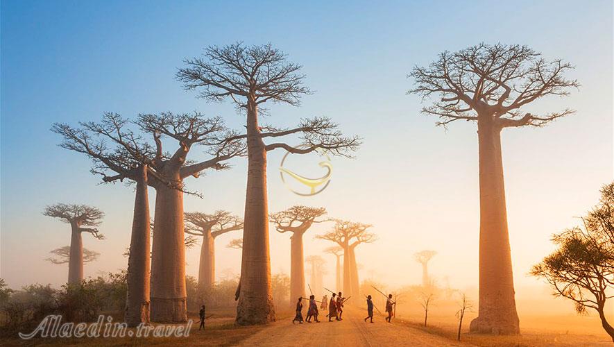 16 واقعیت جالب در مورد ماداگاسکار