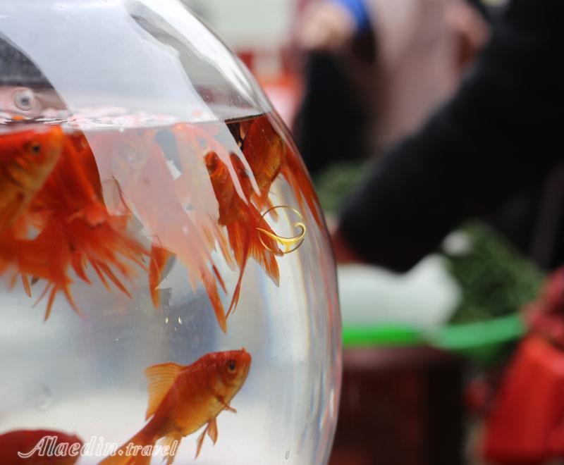 حال  و هوای تجریش نزدیک عید