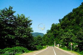 خلخال کجا بریم ؟