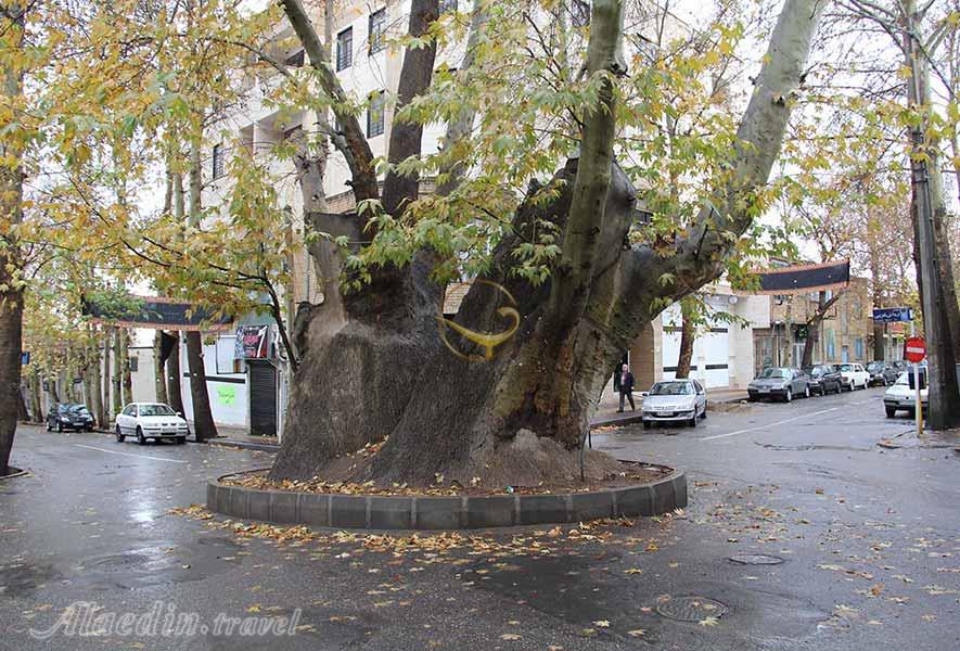 بهترین زمان سفر به محلات