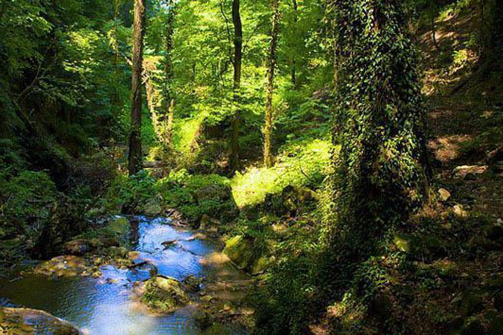 شهر عباس آباد