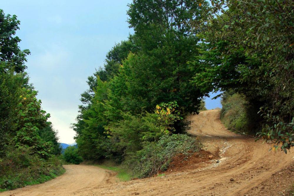 شهر علی آباد کتول