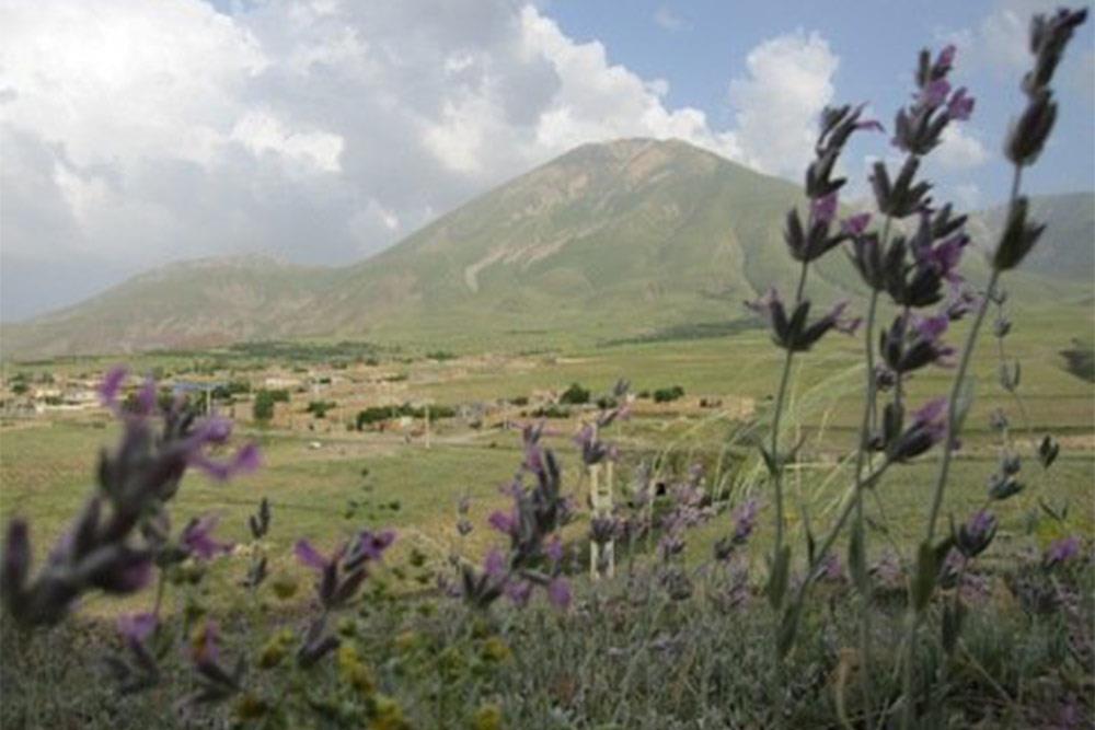 شهر داران | علاءالدین تراول