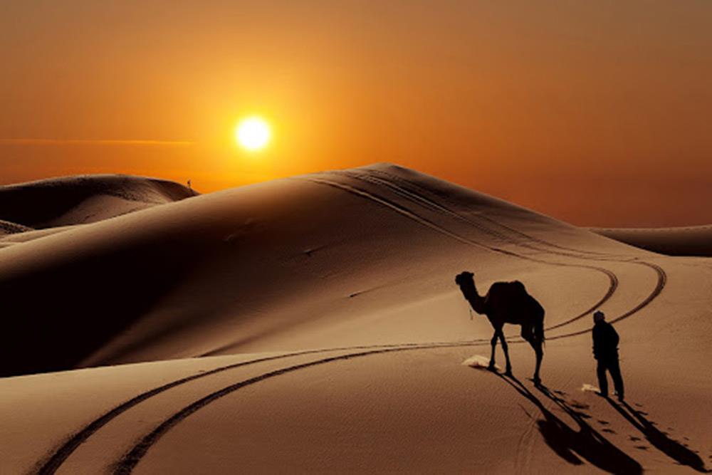 شهر کویر مصر