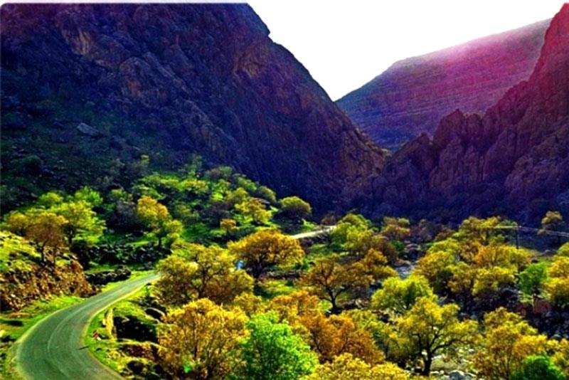 شهر گچساران | علاءالدین تراول