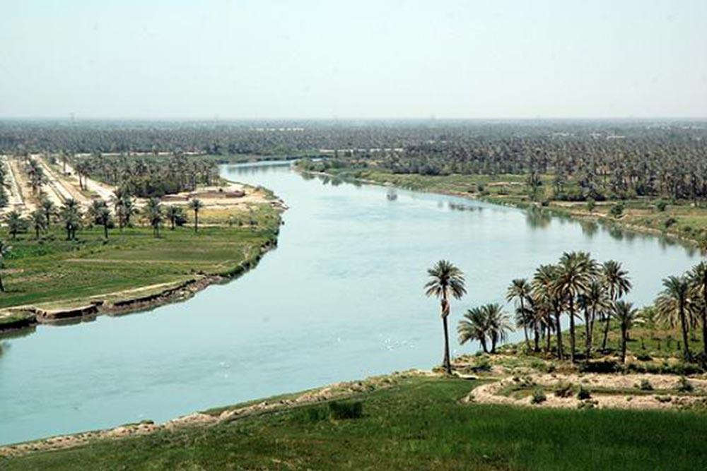 حله
