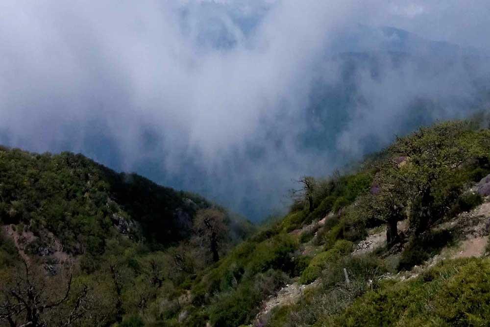 شهر  کلاله | علاءالدین تراول