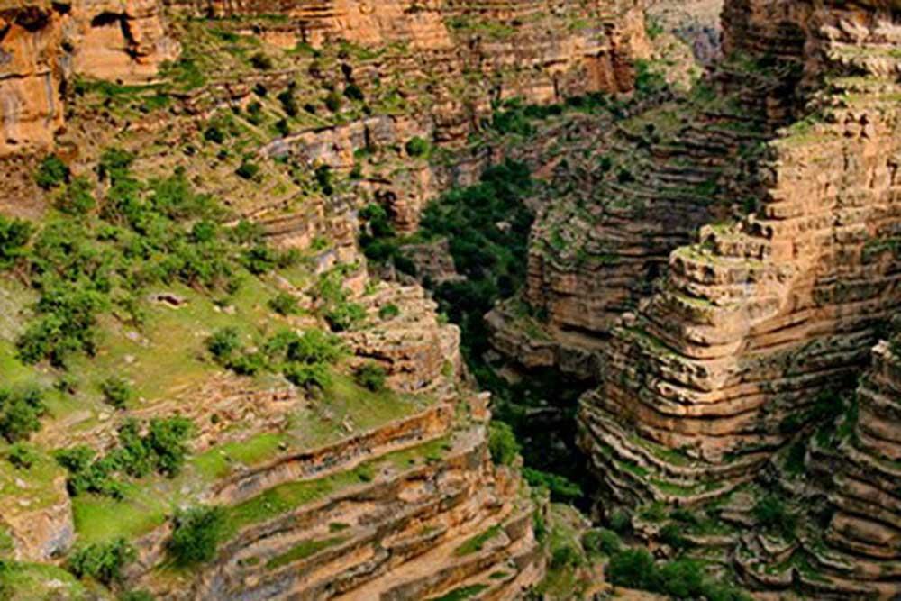 شهر کوهدشت | علاءالدین تراول