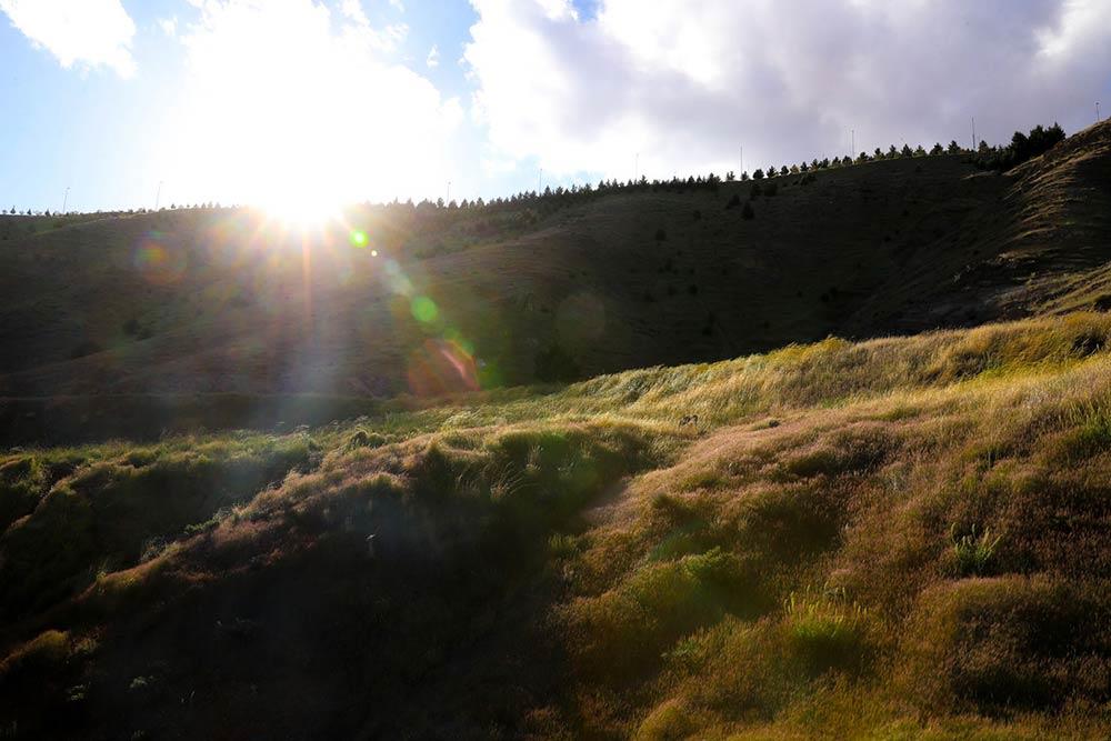 شهر  کوهسار