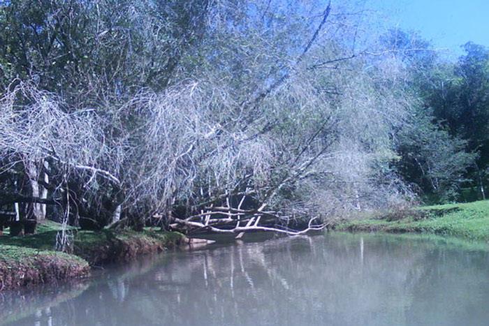 شهر میسیونز