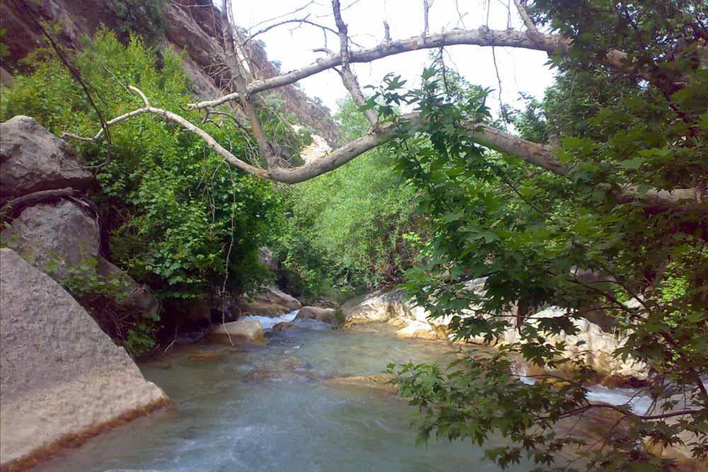 شهر  نورآباد | علاءالدین تراول