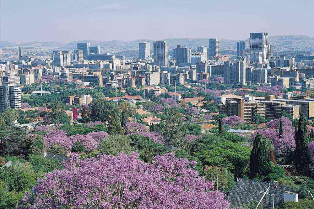 شهر  پرتوریا