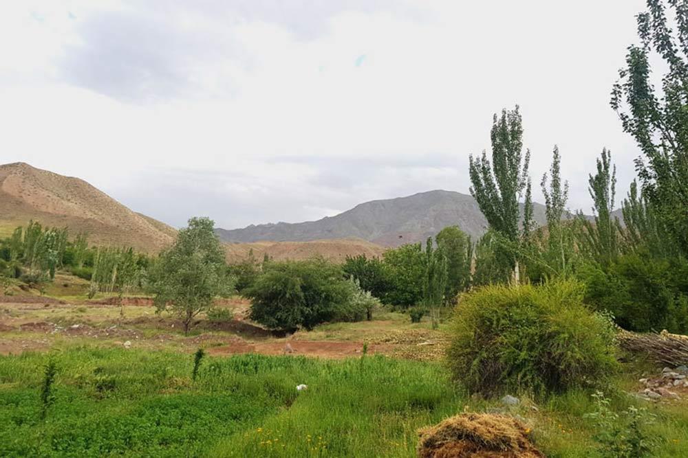 شهر  تربت حیدریه | علاءالدین تراول