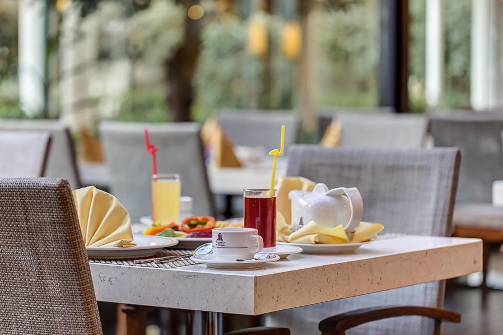 رستوران پارسه هتل انقلاب تهران | علاءالدین تراول