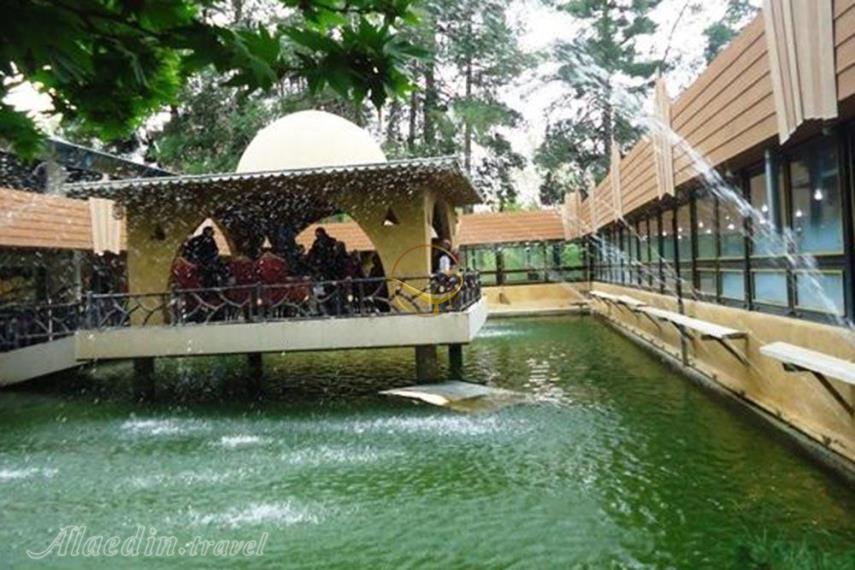 رستوران لانه طاووس مرودشت - علاالدین تراول