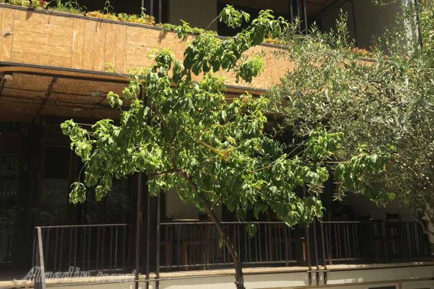 کافه شکسپیر تهران