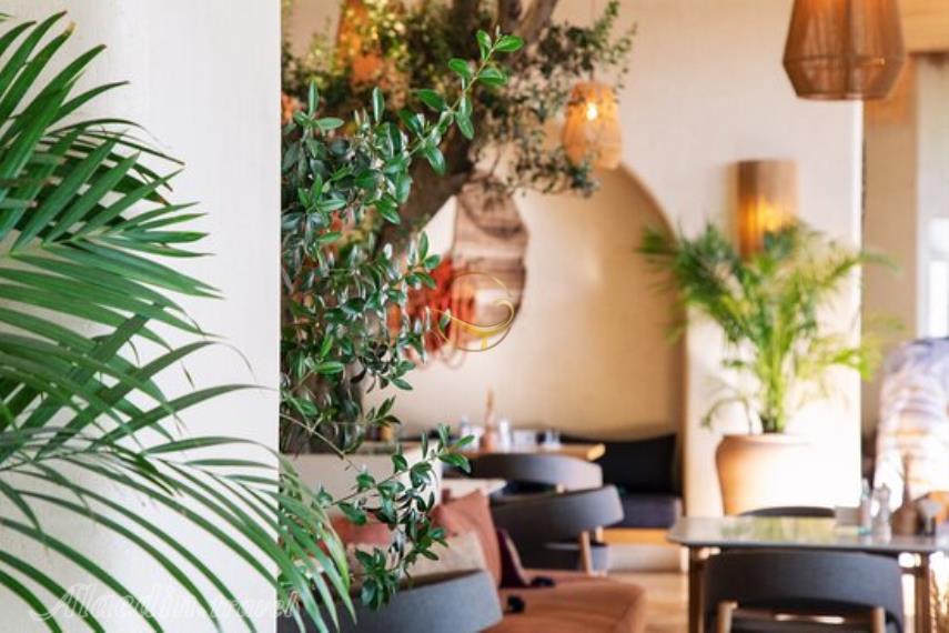 کافه رستوران آولی تهران | علاءالدین تراول