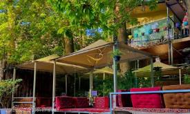 رستوران شایلو چالوس | علاالدین تراول