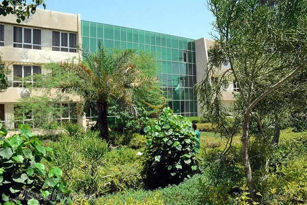 عکس های Lotus Hotel in Kish (Laleh)