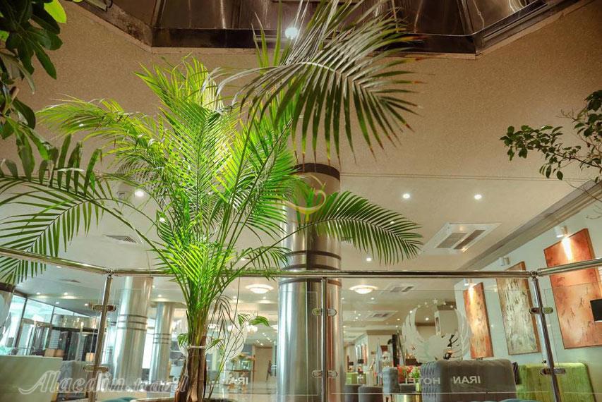 عکس های Iran Hotel in Mashhad