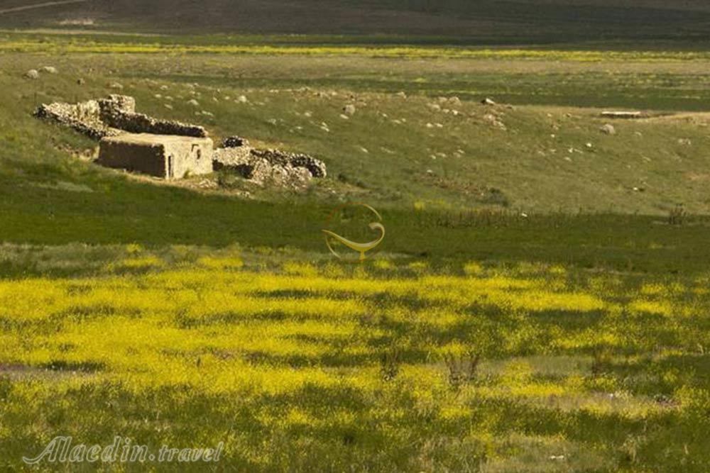 Goloul Protected Area of Shirvan | Alaedin Travel