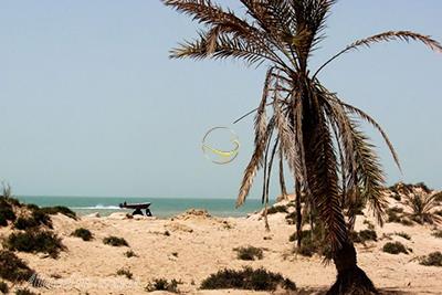 Mir Mohanna Island in Bandar Ganaveh